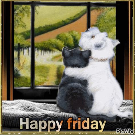 Cats Happy Friday Animation Pictures, Photos, and Images for Facebook ...