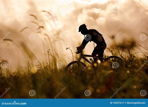 Mountain bike man outdoors stock image. Image of mountain - 18537217