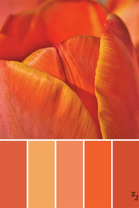ZJ Colour Palette 1245 #colourpalettes #colourinspiration | Orange color palettes, Pantone ...