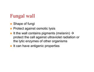 2. Cell Wall Composition of fungi.pdf