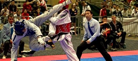 Mixed Martial Arts | Flushing Tae Kwon Do