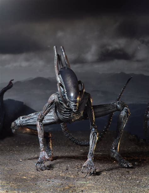 New Preview of Xenomorph from Alien Covenant by NECA - The Toyark - News