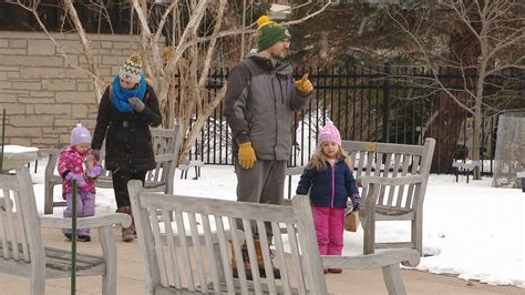 Enjoy the outdoors with Green Bay Botanical Garden's Winter Celebration