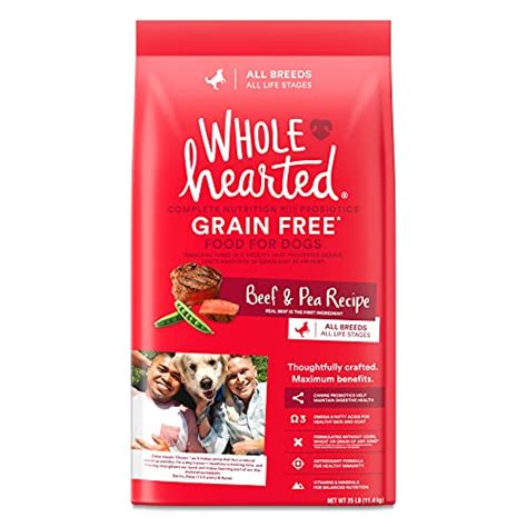 10 Best Grain Free Dog Food Brands Every Pet Owner Should Consider