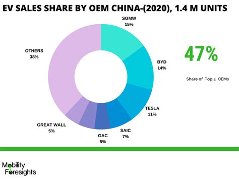 China Electric Vehicle Market 2024-2030