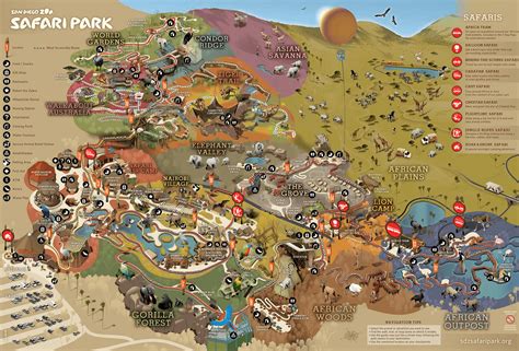 San Diego Safari Park Map Pdf