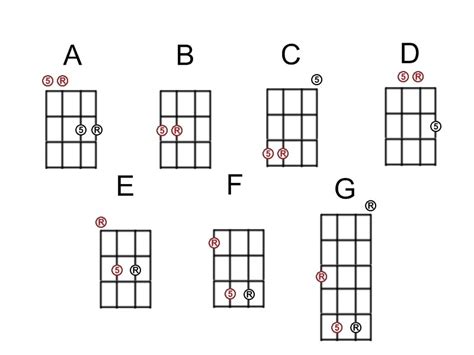 AMBER ROSE FANS: A bass chord is generally