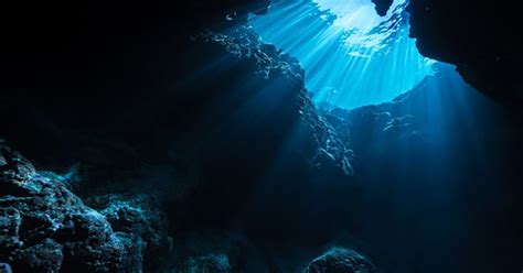 New IASS Policy Brief: “Deep Seabed Mining Must Benefit All Humankind” | Science | News