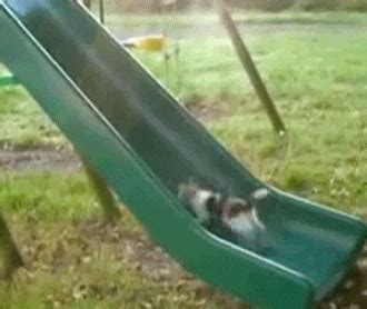 Slippery Slope GIFs - Find & Share on GIPHY