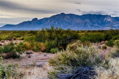 West Texas Landscape Of Desert Area With Hills. Stock Photo - Image: 51448184