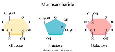 Monosaccharide Foods