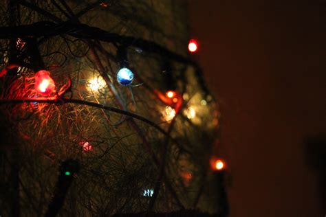 Free Images : light, night, darkness, lighting, christmas decoration, screenshot, christmas ...
