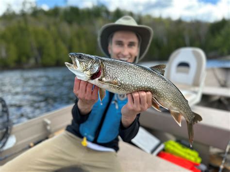 Lake trout fishing: The best tips and techniques | SAIL Blog