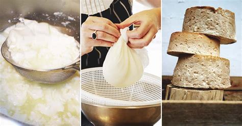 5 Steps to Start a Homemade Cheese-Making Routine