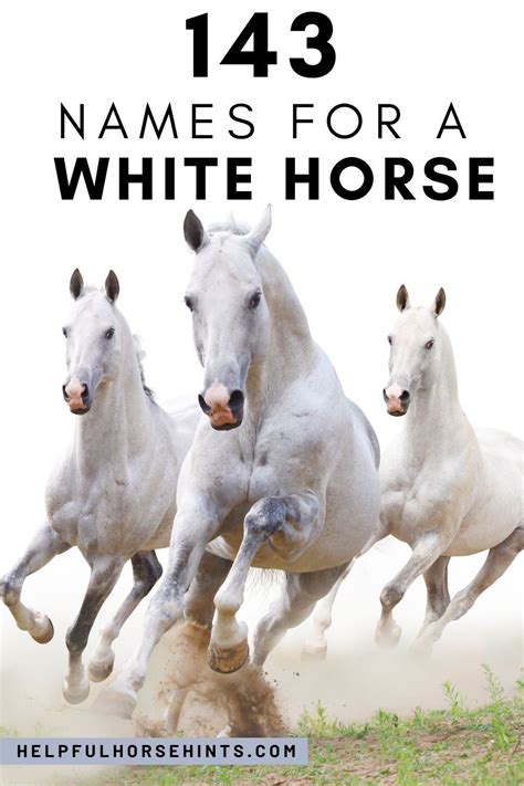 143 white horse names – including barn names show names – Artofit