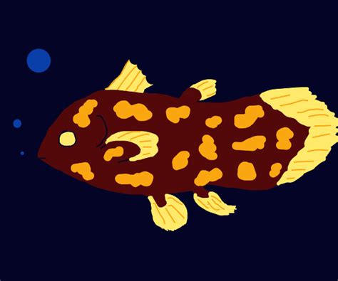 Coelacanth - Drawception