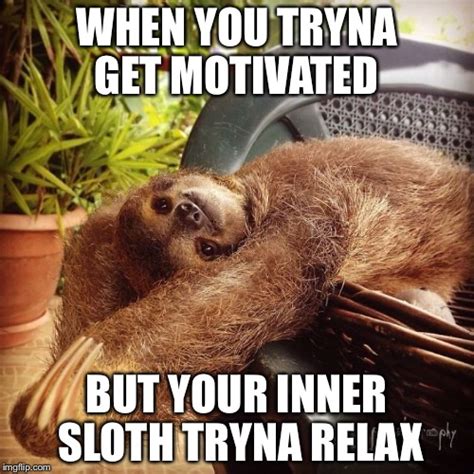 Sloth life - Imgflip