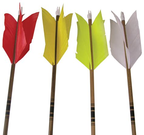 3Rivers Flu Flu Wood Arrows, 6-pack | Wood arrow, Archery supplies ...