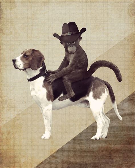 Monkey in Cowboy Hat Riding a Beagle Monkey Art Monkey | Etsy