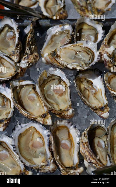 France, Gironde, Bassin d'Arcachon, oysters Stock Photo - Alamy