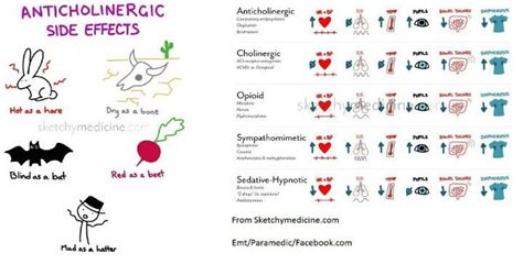 Anticholinergic side effects | Nursing school essential, Nursing ...