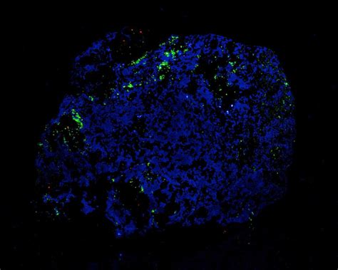 Common Fluorescent Minerals - The Fluorescent Mineral Society