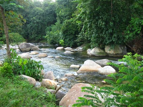 This is my story...: Sungai Sedim, Kulim, Kedah.