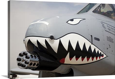 Front of an A-10 Thunderbolt II warplane painted with a shark face Wall ...