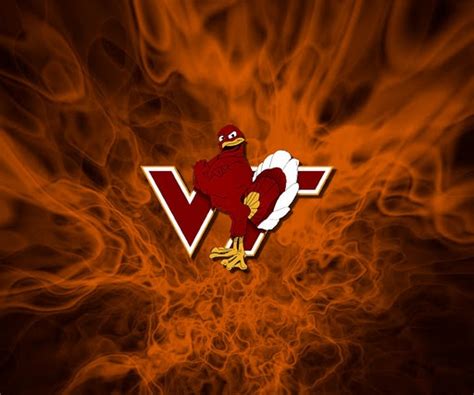 🔥 [50+] Virginia Tech Hokies Wallpapers | WallpaperSafari