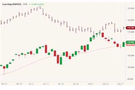 U.S. livestock: Hog futures rally on technical bounce | Farmtario