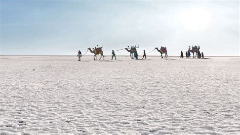 White Sand Desert : 6 Reasons for Rann of Kutch Festival