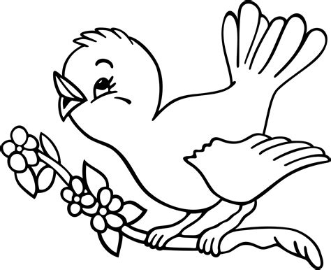 Birds Drawing For Colouring at GetDrawings | Free download