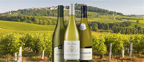 Sancerre | Local Wine Appellation From Cher, France | TasteAtlas