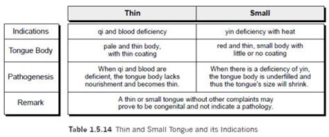 Traditional Chinese Medicine Diagnosis Study Guide