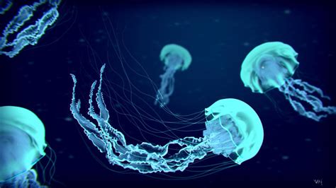 Glowing Jellyfish Wallpapers (67+ images)