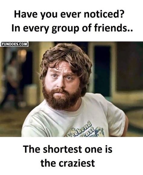 Memes Jokes Memes Crazy Funny Best Friend Quotes - moo seat the forest