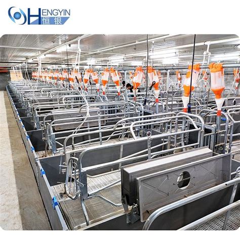 Piggery farm equipment piggery house design piggery automation - Aboub B2B Marketplace China