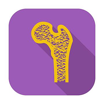 Bone Icon Archaeology Healthy Drawing Vector, Archaeology, Healthy ...