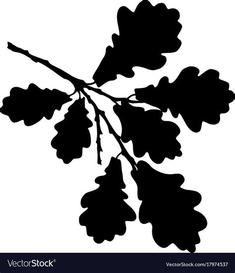 Oak leaf acorn and branch isolated silhouette Vector Image