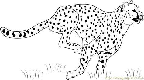 Cheetah Running Coloring Page for Kids - Free Cheetah Printable Coloring Pages Online for Kids ...