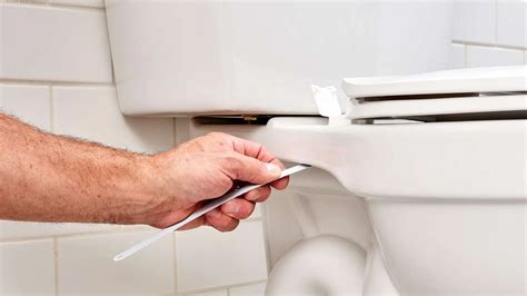 How To Replace A Toilet Seat Australia | Cabinets Matttroy