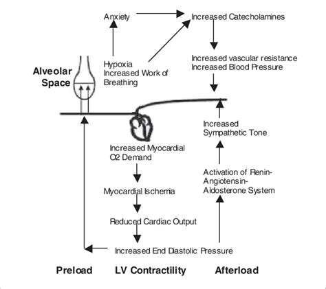 Pulmonary Edema Pathophysiology