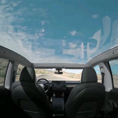 Tesla Model Y glass roof view : r/teslamotors