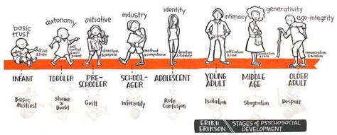 Related image | Stages of psychosocial development, Erik erikson ...