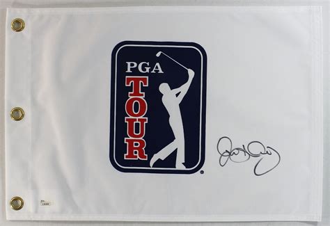 Rory McIlroy Signed PGA Tour Pin Flag (JSA COA) | Pristine Auction