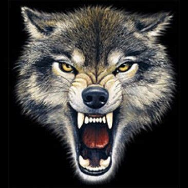 Wolf Snarling Face Gallery for > wolf snarling face | Tatoeage wolf, Dieren tekenen, Tatoeage ideeën