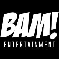 BAM! Entertainment | LinkedIn