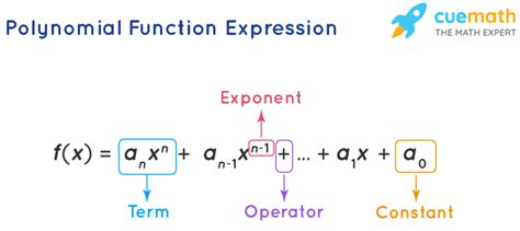 Polynomial function graphmatica - dikithemes