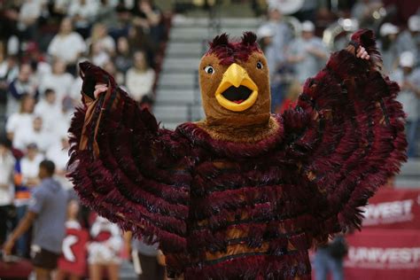 More than a mascot, the St. Joseph’s University Hawk flaps on