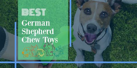 The Best German Shepherd Chew Toys [2021 Review] - Pets Pest